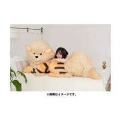 Pokemon - Arcanine (Windie) - Bed Sharing LIMITED EDITION [Plush Toy] -Cheap Doll Shop pokemon arcanine windie bed sharing limited edition plush toy 1 3
