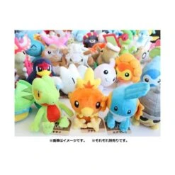 Pokemon Plush: Flygon - Pokemon Fit - Limited Edition [The Pokémon Company] -Cheap Doll Shop pokemon plush flygon pokemon fit limited edition the pokemon company 1 3